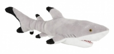 Ravensden Shark